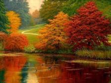 autumn-pond