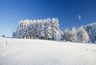 3572428-snow-field-and-forest-under-blue-sky-with-crescent.jpg